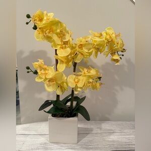 Yellow Orchid Arrangement in White Planter